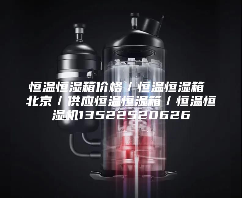 恒温恒湿箱价格／恒温恒湿箱 北京／供应恒温恒湿箱／恒温恒湿机13522520626