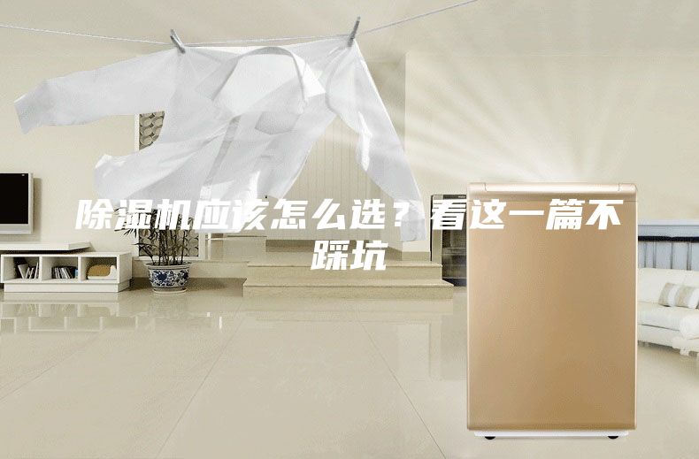 除湿机应该怎么选？看这一篇不踩坑