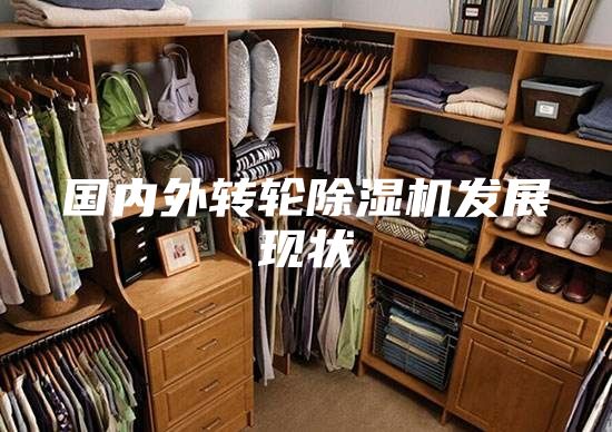 国内外转轮除湿机发展现状