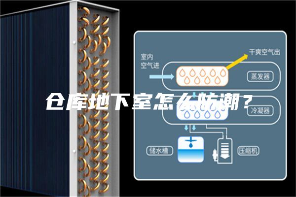 仓库地下室怎么防潮？
