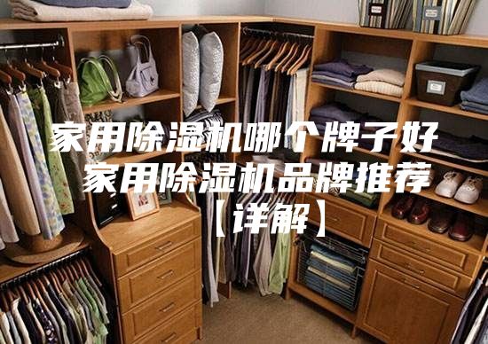 家用除湿机哪个牌子好 家用除湿机品牌推荐【详解】