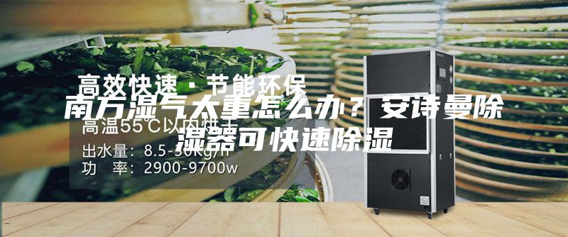 南方湿气太重怎么办？安诗曼除湿器可快速除湿
