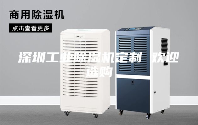 深圳工业除湿机定制 欢迎选购