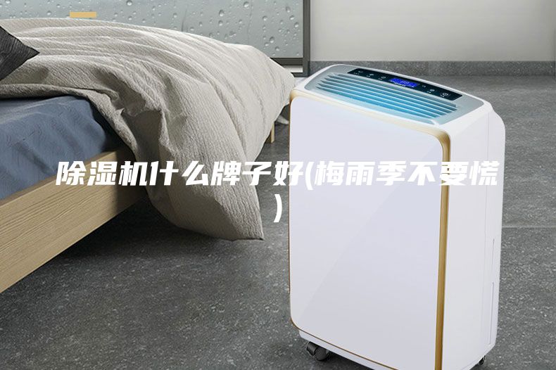 除湿机什么牌子好(梅雨季不要慌)