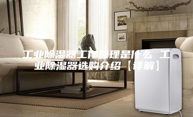 工业除湿器工作原理是什么 工业除湿器选购介绍【详解】