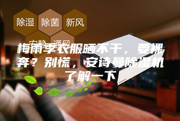 梅雨季衣服晒不干，要裸奔？别慌，安诗曼除湿机了解一下