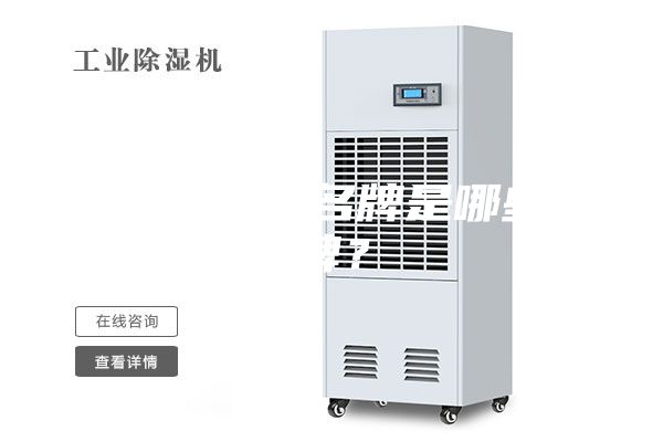 除湿机十大名牌是哪些品牌？