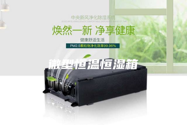 微型恒温恒湿箱