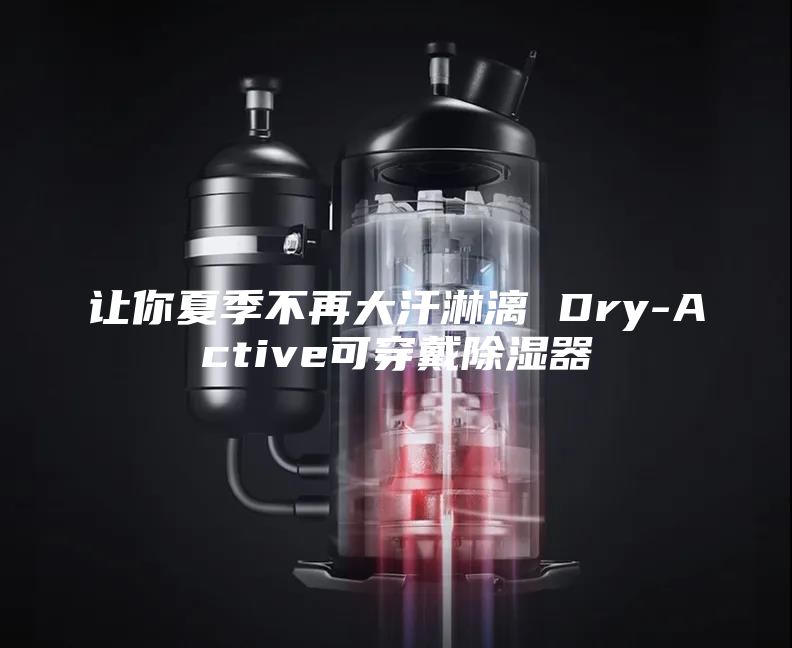 让你夏季不再大汗淋漓 Dry-Active可穿戴除湿器