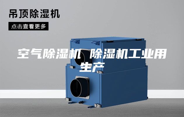 空气除湿机 除湿机工业用生产