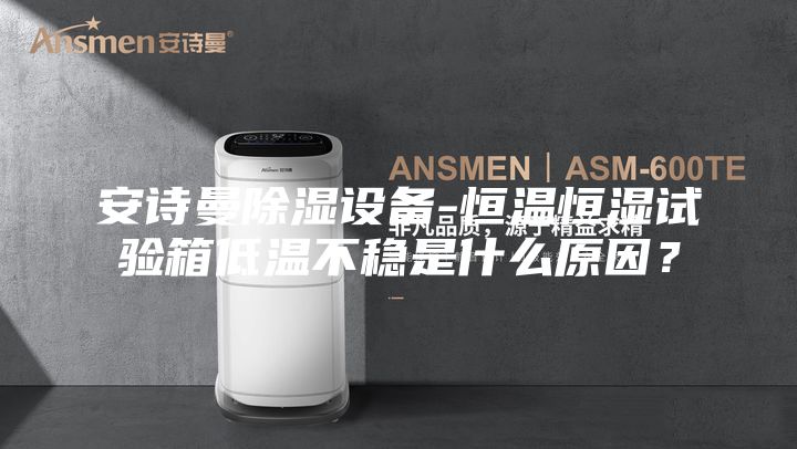 安诗曼除湿设备-恒温恒湿试验箱低温不稳是什么原因？