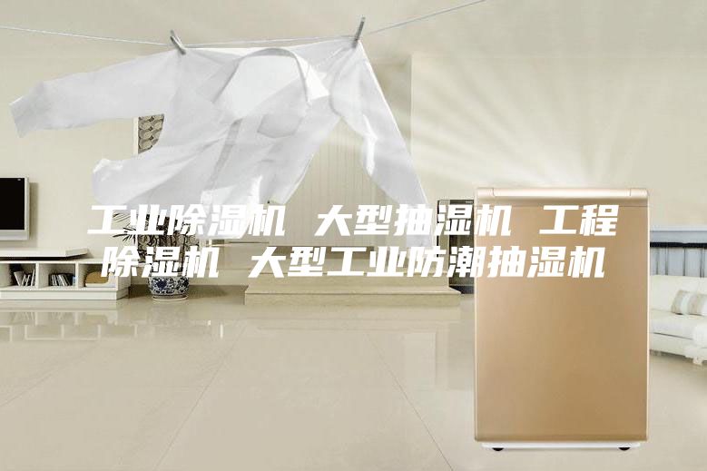 工业除湿机 大型抽湿机 工程除湿机 大型工业防潮抽湿机