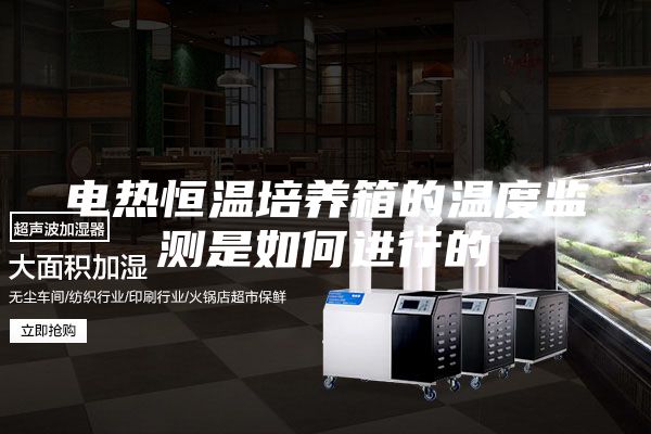 电热恒温培养箱的温度监测是如何进行的