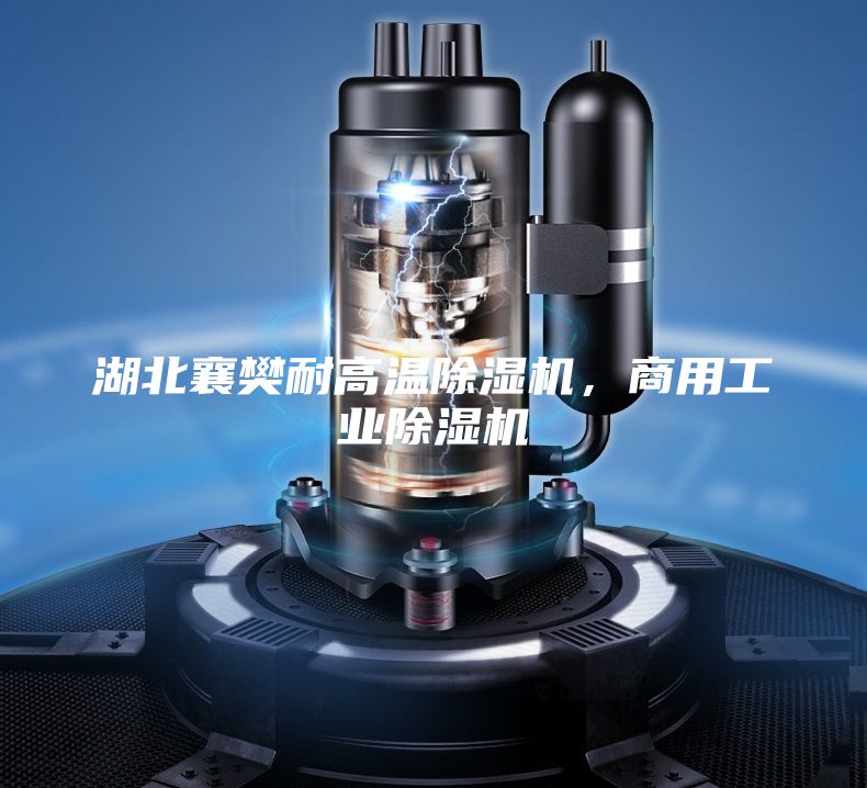 湖北襄樊耐高温除湿机，商用工业除湿机