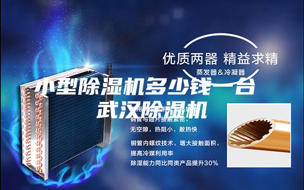 小型除湿机多少钱一台 武汉除湿机