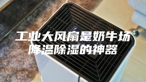 工业大风扇是奶牛场降温除湿的神器