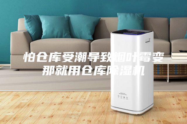 怕仓库受潮导致烟叶霉变那就用仓库除湿机