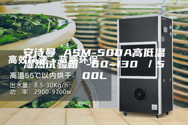 安诗曼 ASM-500A高低温湿热试验箱 -60~130℃／500L