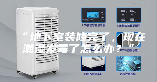 “地下室装修完了，现在潮湿发霉了怎么办？”