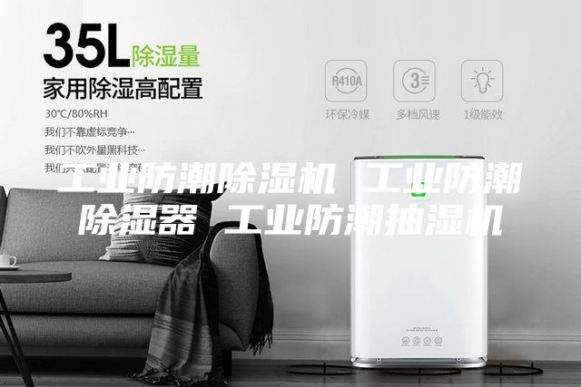 工业防潮除湿机 工业防潮除湿器 工业防潮抽湿机