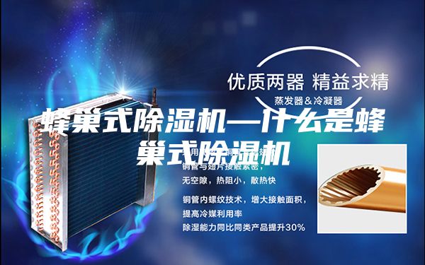 蜂巢式除湿机—什么是蜂巢式除湿机