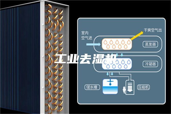 工业去湿机