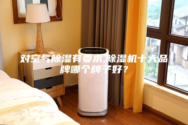 对空气除湿有要求,除湿机十大品牌哪个牌子好？