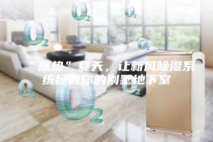 “蒸热”夏天，让新风除湿系统拯救你的别墅地下室