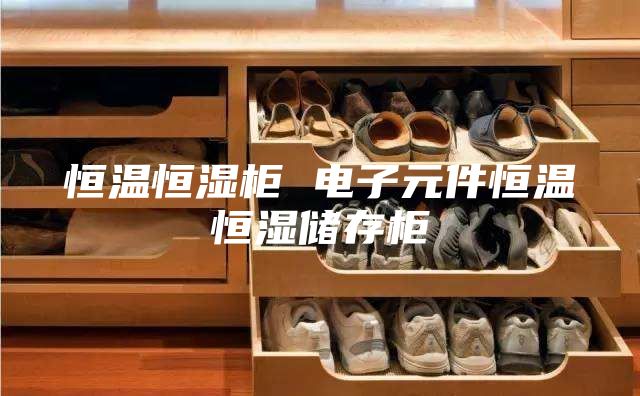 恒温恒湿柜 电子元件恒温恒湿储存柜