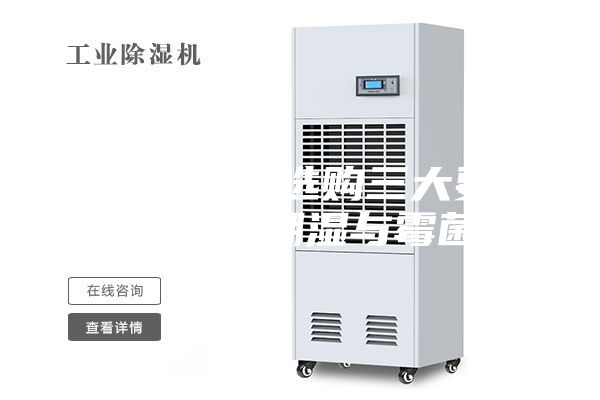 掌握除湿机选购三大要点，告别潮湿与霉菌