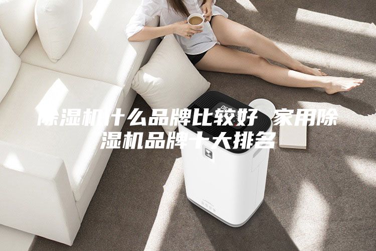 除湿机什么品牌比较好 家用除湿机品牌十大排名