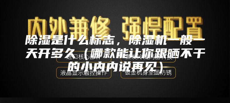 除湿是什么标志，除湿机一般一天开多久（哪款能让你跟晒不干的小内内说再见）