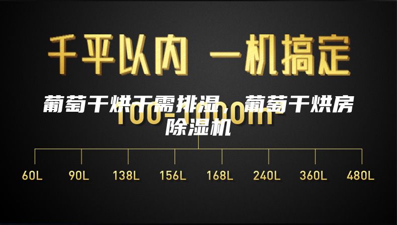 葡萄干烘干需排湿，葡萄干烘房除湿机