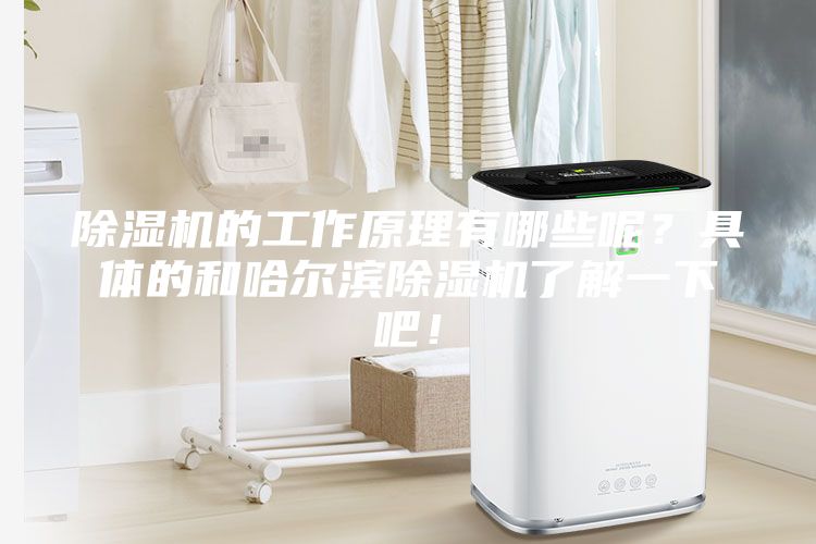 除湿机的工作原理有哪些呢？具体的和哈尔滨除湿机了解一下吧！