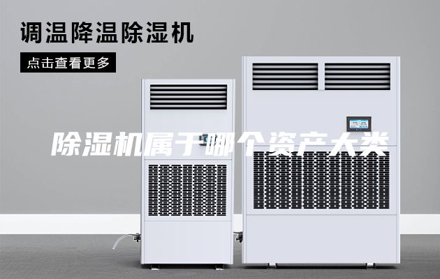 除湿机属于哪个资产大类