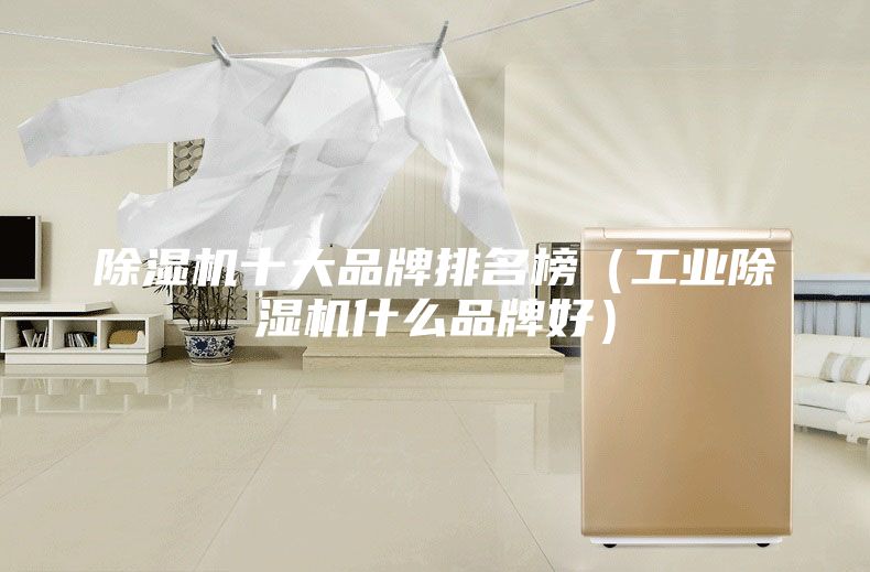 除湿机十大品牌排名榜（工业除湿机什么品牌好）