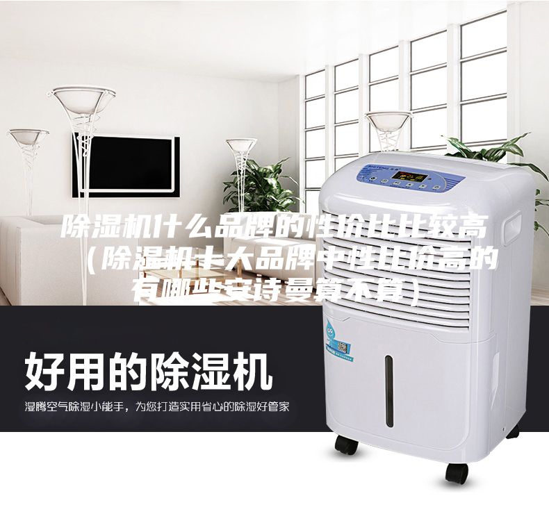 除湿机什么品牌的性价比比较高（除湿机十大品牌中性比价高的有哪些安诗曼算不算）