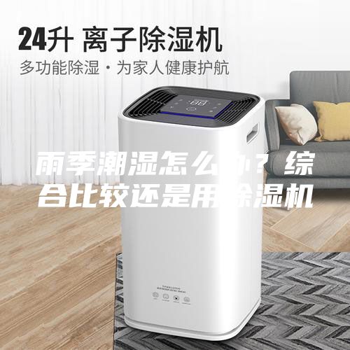 雨季潮湿怎么办？综合比较还是用除湿机