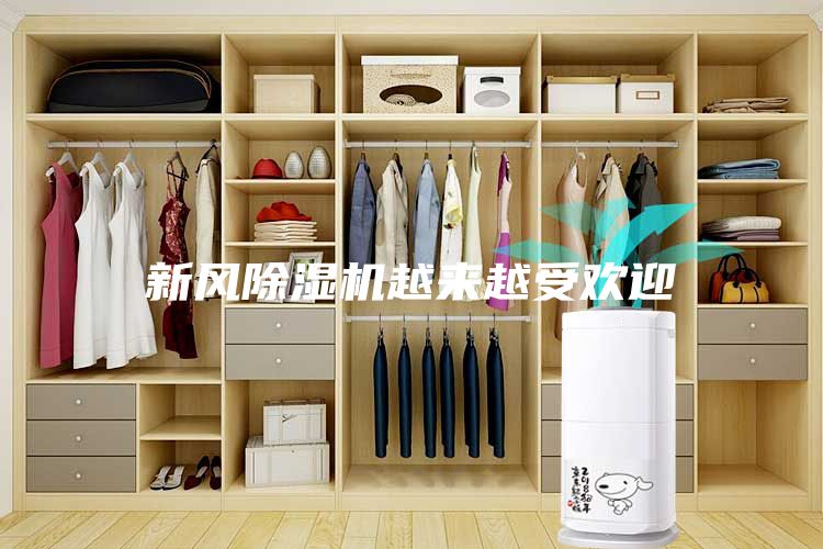 新风除湿机越来越受欢迎
