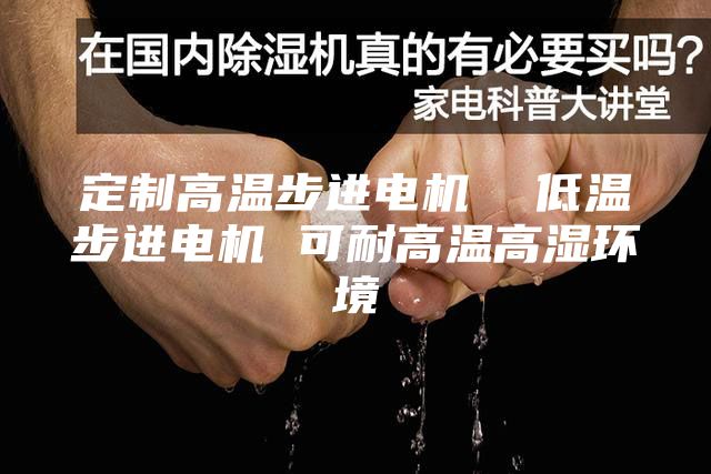 定制高温步进电机  低温步进电机 可耐高温高湿环境