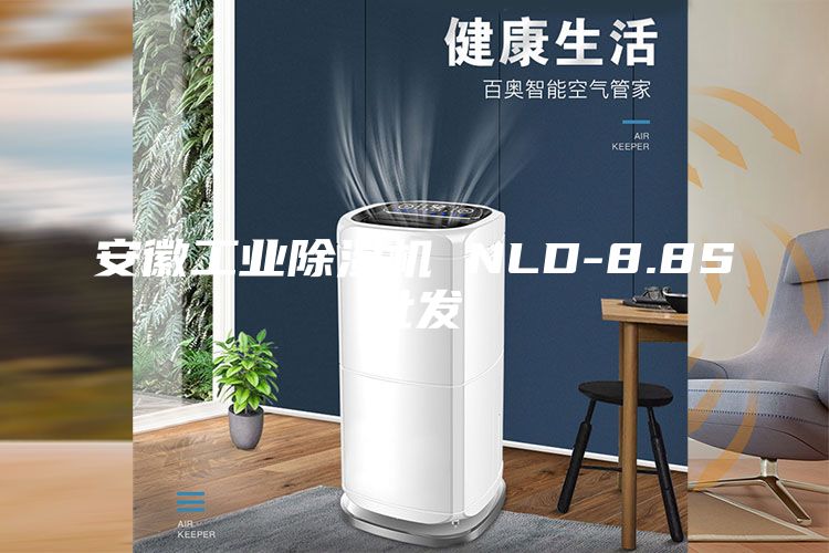 安徽工业除湿机 NLD-8.8S批发