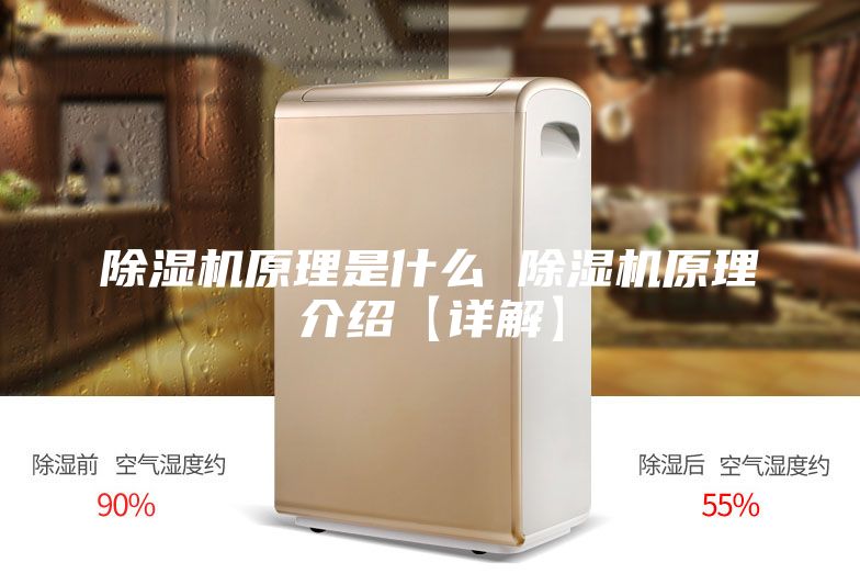 除湿机原理是什么 除湿机原理介绍【详解】