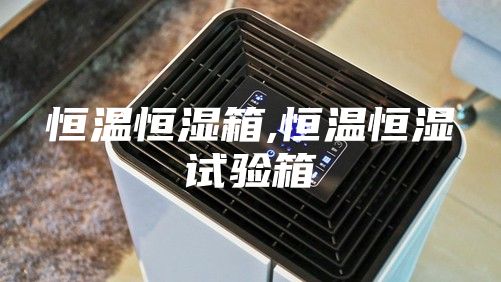 恒温恒湿箱,恒温恒湿试验箱