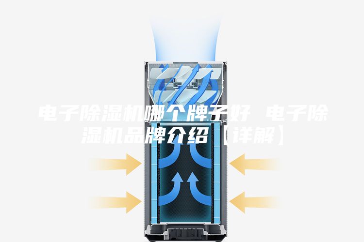 电子除湿机哪个牌子好 电子除湿机品牌介绍【详解】