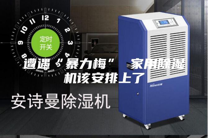 遭遇“暴力梅” 家用除湿机该安排上了