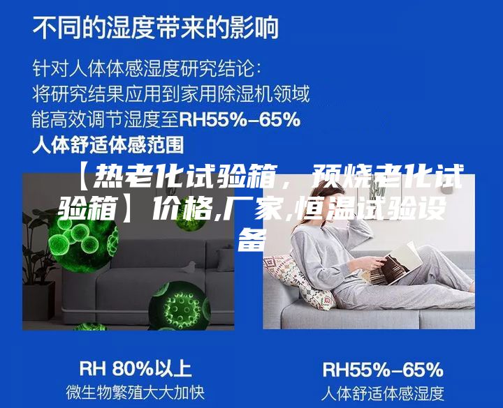 【热老化试验箱，预烧老化试验箱】价格,厂家,恒温试验设备