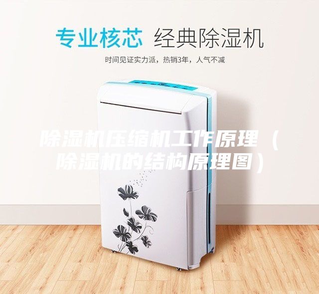 除湿机压缩机工作原理（除湿机的结构原理图）