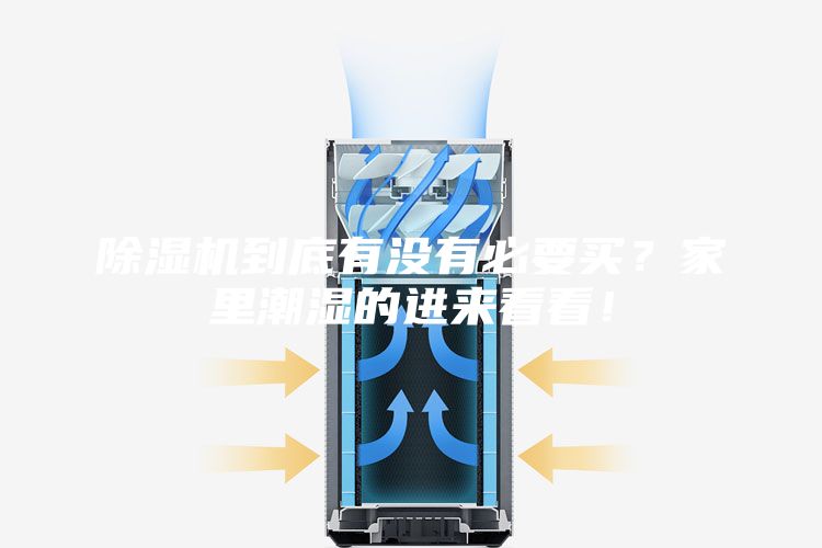除湿机到底有没有必要买？家里潮湿的进来看看！
