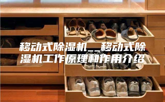 移动式除湿机__移动式除湿机工作原理和作用介绍