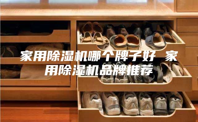 家用除湿机哪个牌子好 家用除湿机品牌推荐
